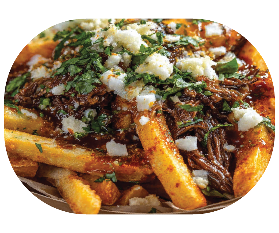 Birria fries